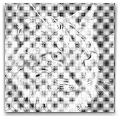Dot Painting Luchs – Punktmalerei Tiermotiv mit wildem Waldbewohner