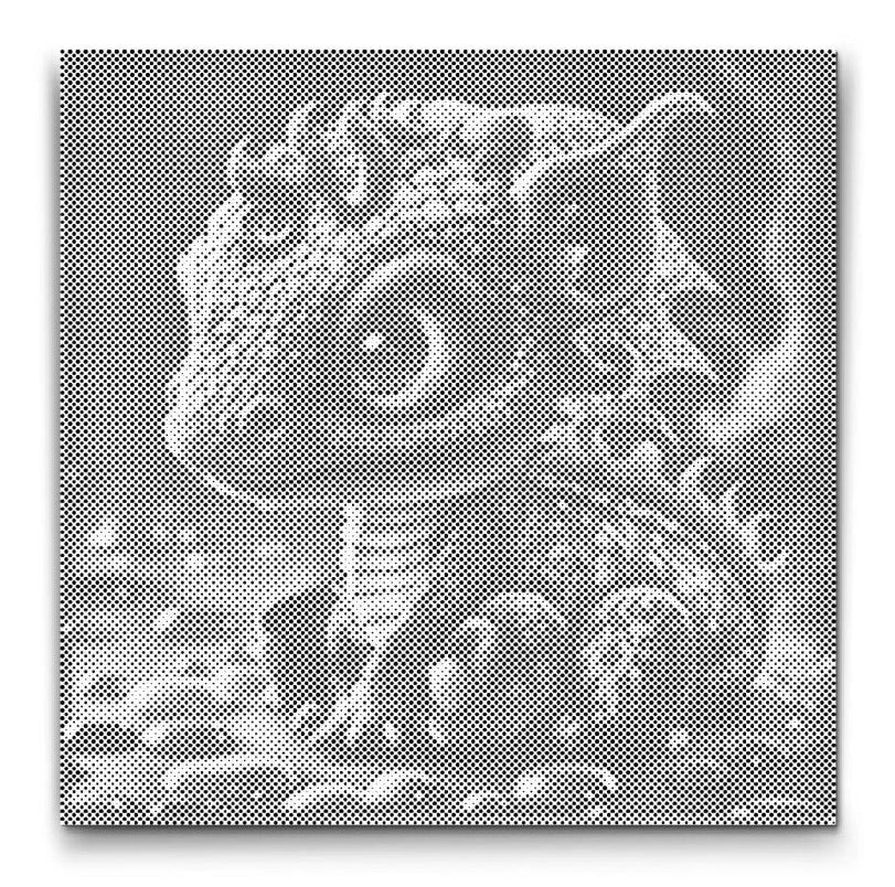 Baby Dragon | Dot Painting Kit