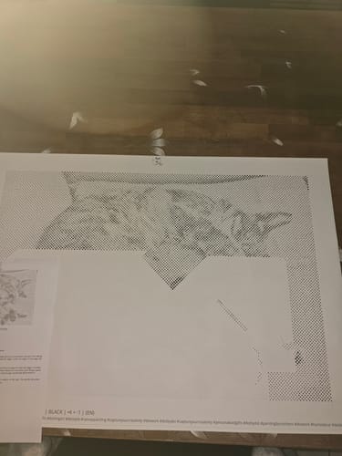 Customer review: The dot painting picture of the cat is turning out beautifully and the customer is happy.