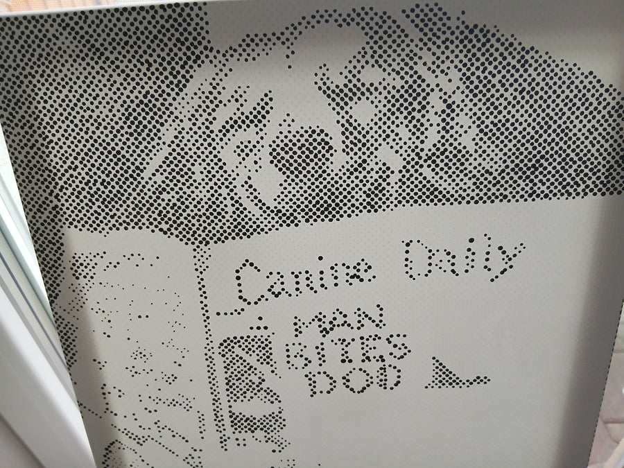 Customer review: An 11 year old daughter wished for the dot painting picture for Christmas and loved her first project.
