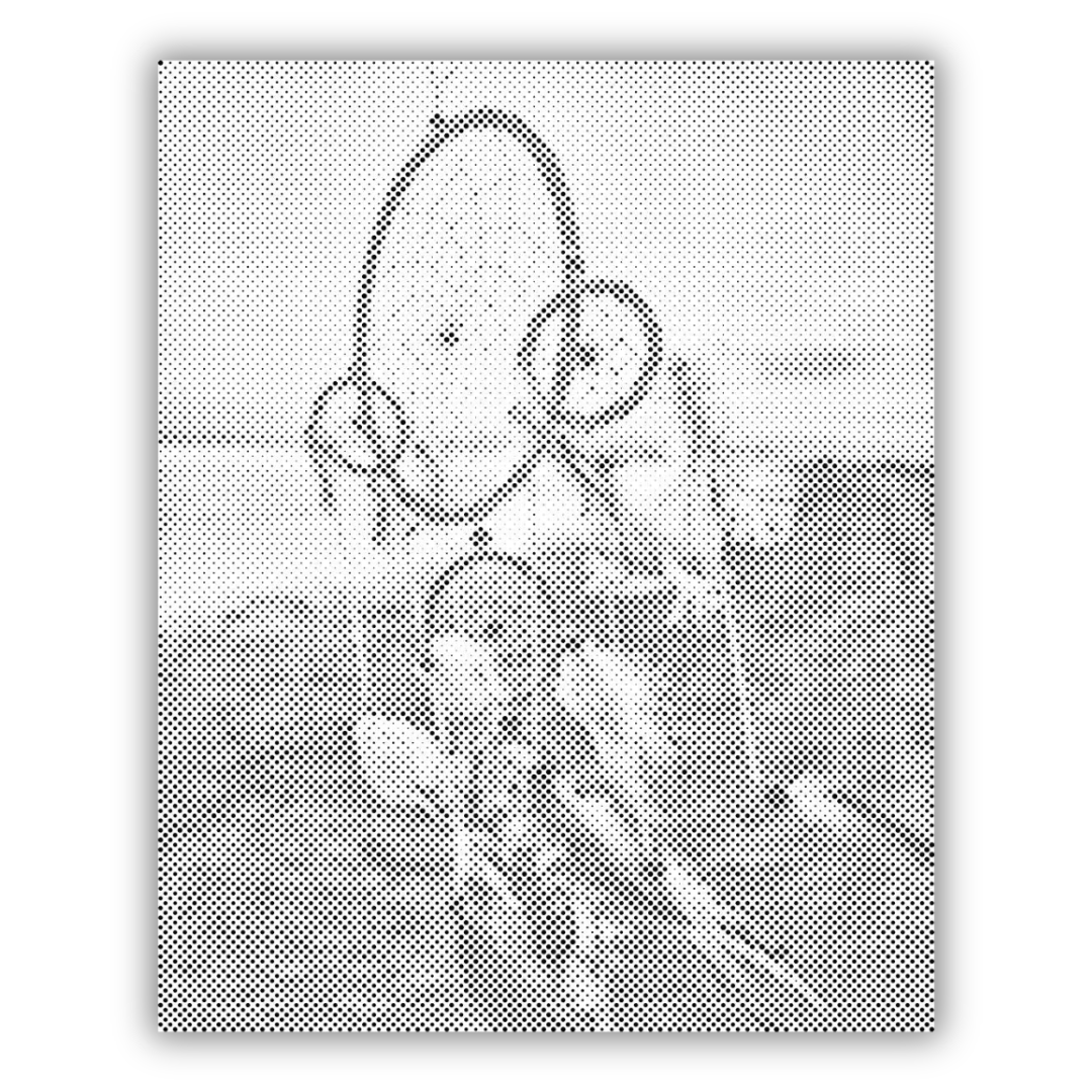 Dreamcatcher in the Wind | Dot Painting Kit finished dot painting artwork