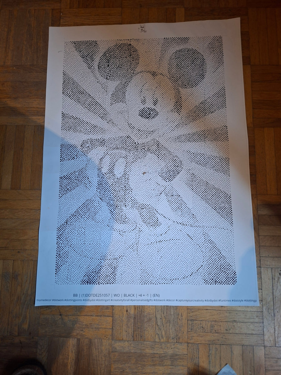 Customer review: Super fast delivery and great satisfaction after ordering several dot painting pictures.